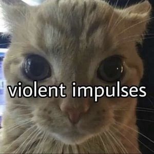 Meet your Posher, Sky